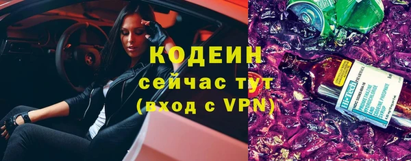 индика Губаха