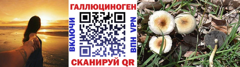 Галлюциногенные грибы мухоморы  Крым 